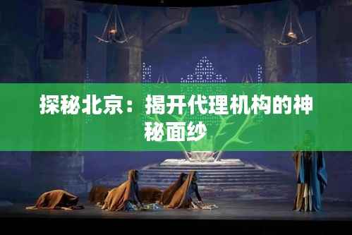 探秘北京:揭开代理机构的神秘面纱
