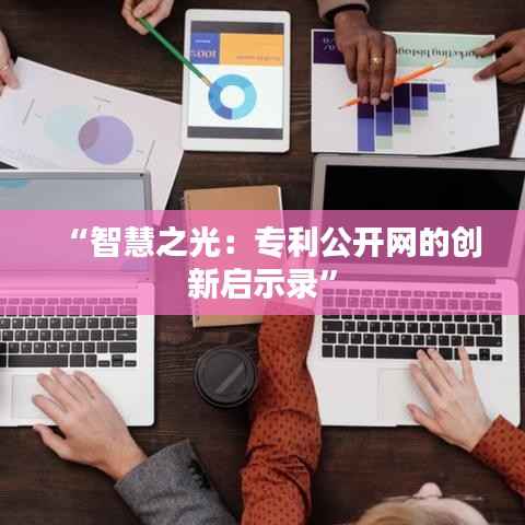 “智慧之光:专利公开网的创新启示录”