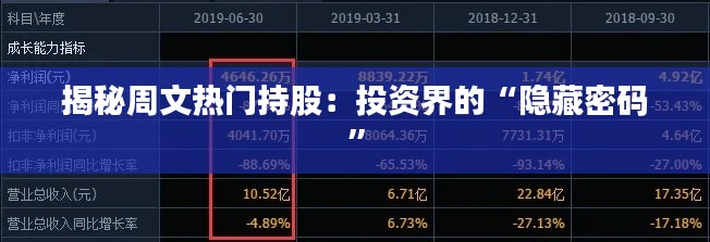 揭秘周文热门持股:投资界的“隐藏密码”