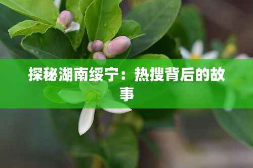 探秘湖南绥宁:热搜背后的故事