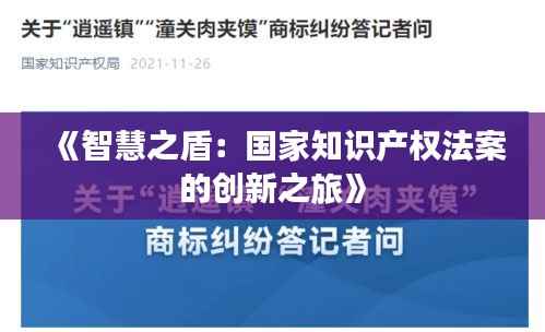 《智慧之盾：国家知识产权法案的创新之旅》