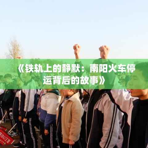 《铁轨上的静默:南阳火车停运背后的故事》