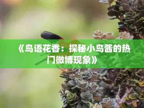 《鸟语花香:探秘小鸟酱的热门微博现象》