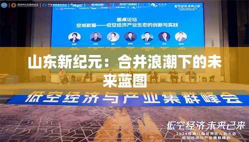 山东新纪元:合并浪潮下的未来蓝图