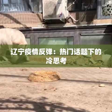 辽宁疫情反弹:热门话题下的冷思考
