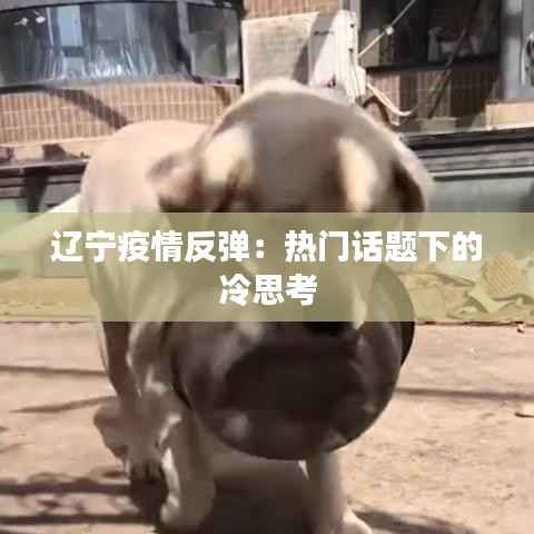 辽宁疫情反弹:热门话题下的冷思考