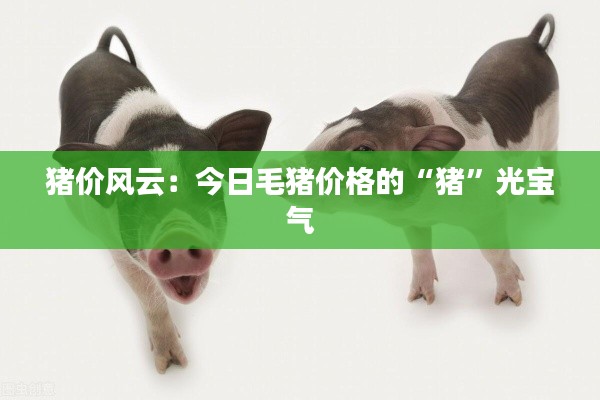 猪价风云:今日毛猪价格的“猪”光宝气