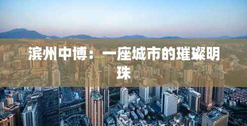 知识产权预算中心 第411页