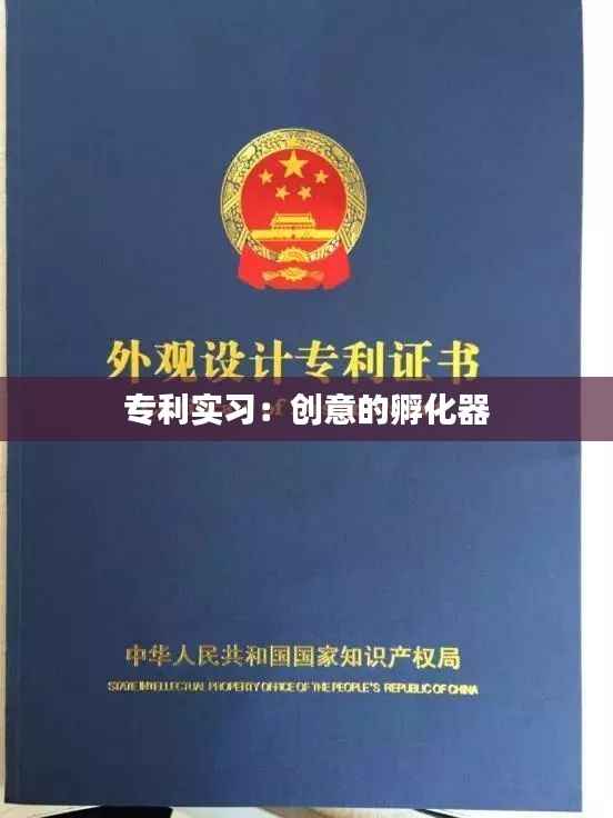 专利实习:创意的孵化器
