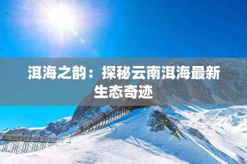 洱海之韵:探秘云南洱海最新生态奇迹