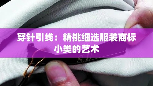 穿针引线:精挑细选服装商标小类的艺术