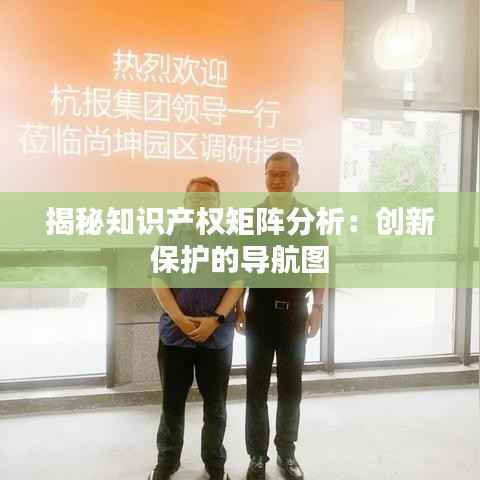 揭秘知识产权矩阵分析:创新保护的导航图