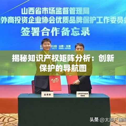 揭秘知识产权矩阵分析:创新保护的导航图