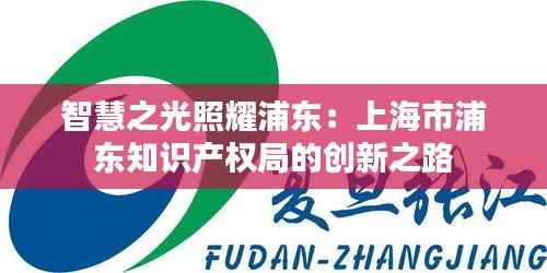 智慧之光照耀浦东:上海市浦东知识产权局的创新之路