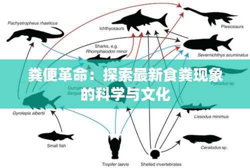 粪便革命:探索最新食粪现象的科学与文化