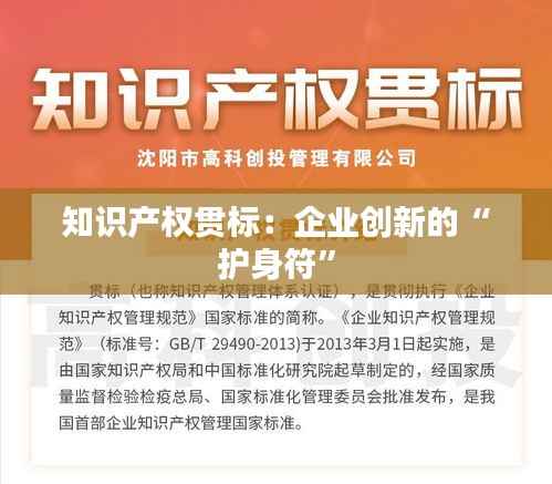 知识产权贯标:企业创新的“护身符”