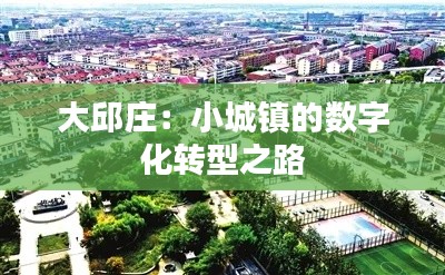 大邱庄:小城镇的数字化转型之路