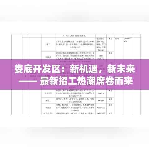 娄底开发区:新机遇,新未来 —— 最新招工热潮席卷而来