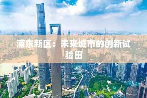 浦东新区:未来城市的创新试验田