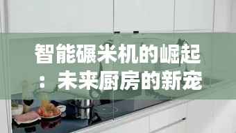 智能碾米机的崛起:未来厨房的新宠
