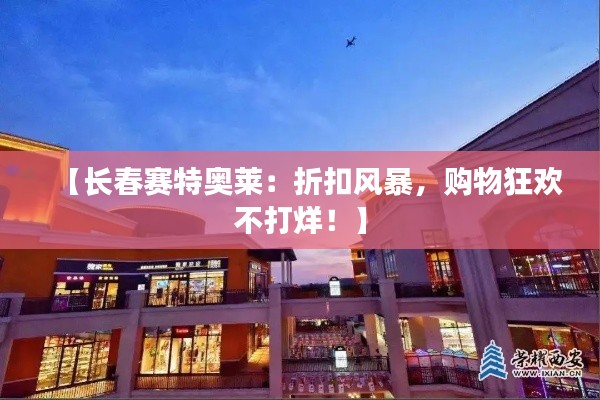 千载难逢 第4页