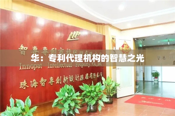 华:专利代理机构的智慧之光