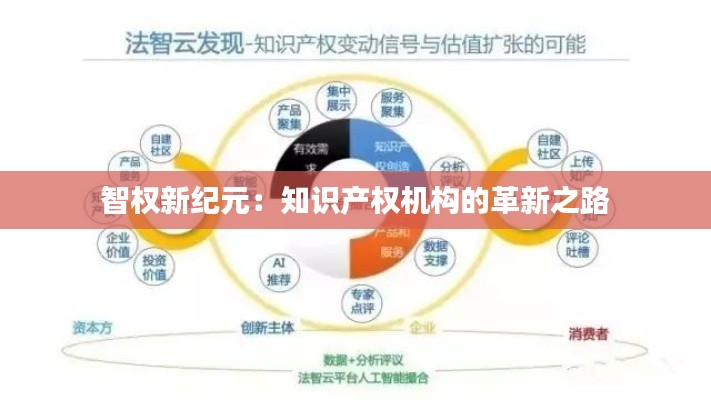 智权新纪元:知识产权机构的革新之路