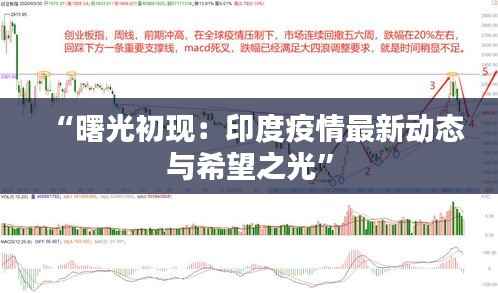 “曙光初现:印度疫情最新动态与希望之光”