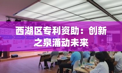 西湖区专利资助:创新之泉涌动未来