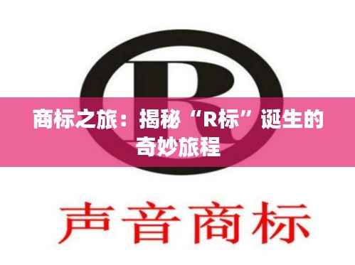 知识产权预算中心 第407页