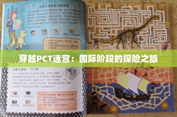 穿越PCT迷宫:国际阶段的探险之旅