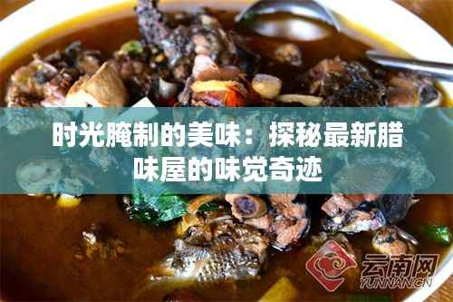 时光腌制的美味:探秘最新腊味屋的味觉奇迹