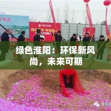 绿色淮阳:环保新风尚,未来可期