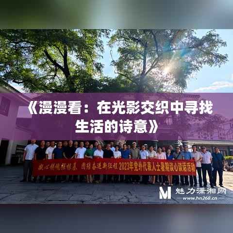 《漫漫看:在光影交织中寻找生活的诗意》