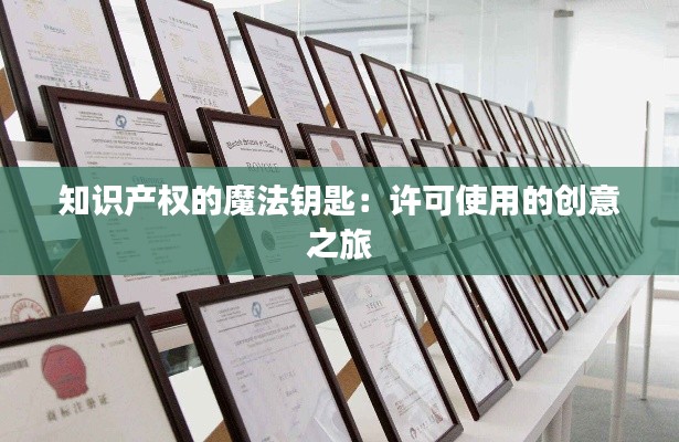 知识产权的魔法钥匙:许可使用的创意之旅