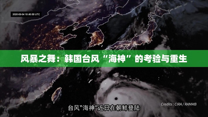 风暴之舞:韩国台风“海神”的考验与重生