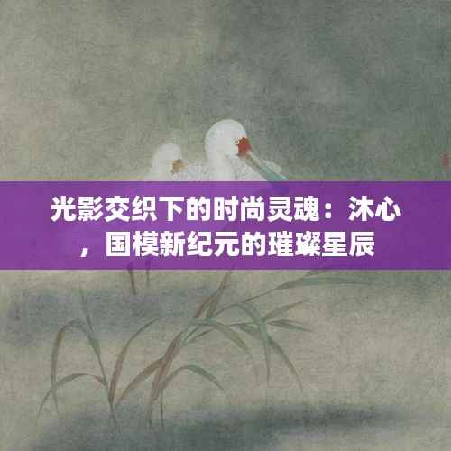 光影交织下的时尚灵魂:沐心,国模新纪元的璀璨星辰