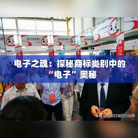 电子之魂:探秘商标类别中的“电子”奥秘