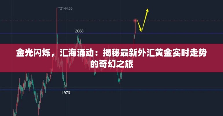 金光闪烁,汇海涌动:揭秘最新外汇黄金实时走势的奇幻之旅