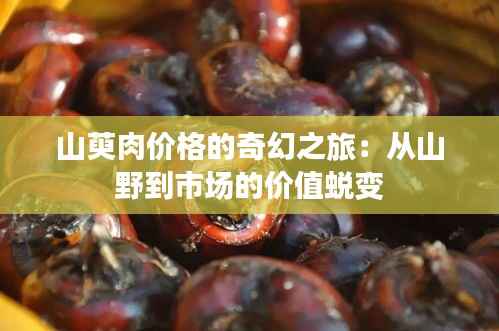山萸肉价格的奇幻之旅:从山野到市场的价值蜕变