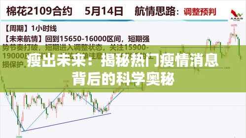 瘦出未来:揭秘热门瘦情消息背后的科学奥秘