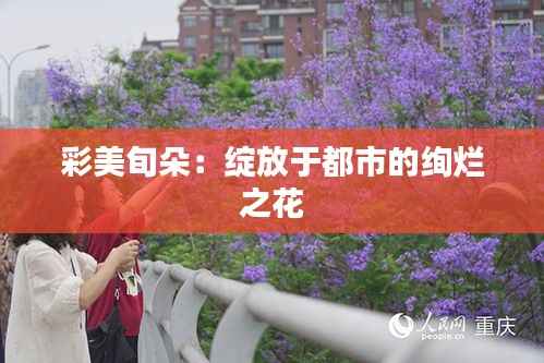 彩美旬朵:绽放于都市的绚烂之花