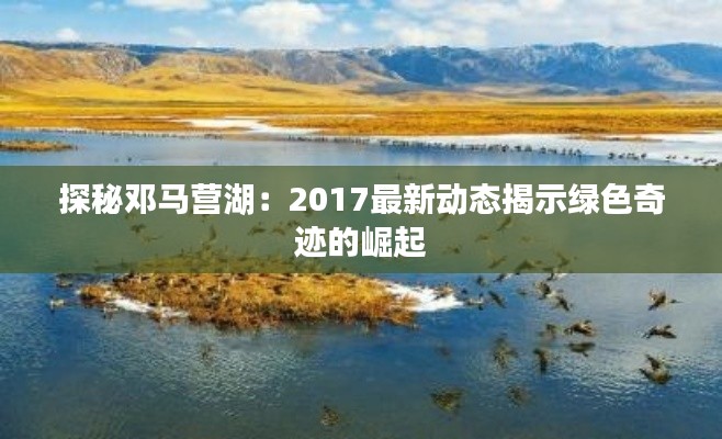 探秘邓马营湖:2017最新动态揭示绿色奇迹的崛起