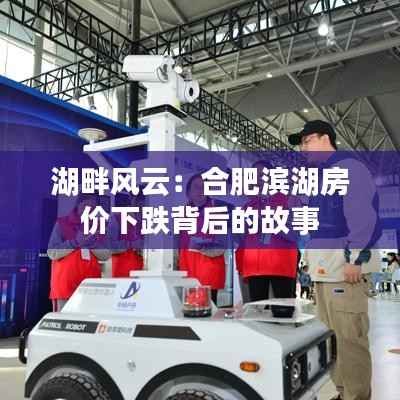 湖畔风云:合肥滨湖房价下跌背后的故事