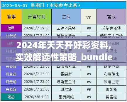 2024年天天开好彩资料,实效解读性策略_bundle3.420