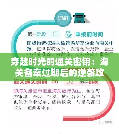 穿越时光的通关密钥:海关备案过期后的逆袭攻略