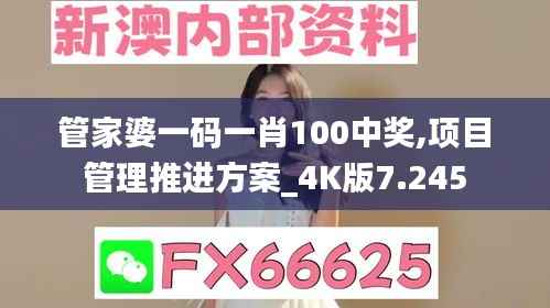 管家婆一码一肖100中奖,项目管理推进方案_4K版7.245