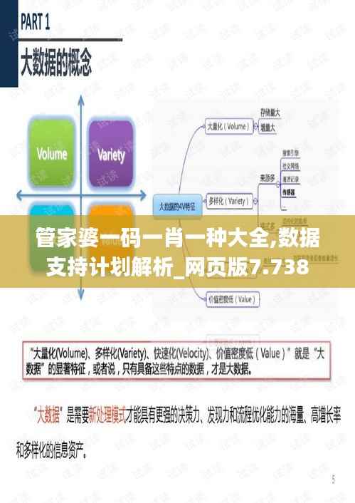 管家婆一码一肖一种大全,数据支持计划解析_网页版7.738