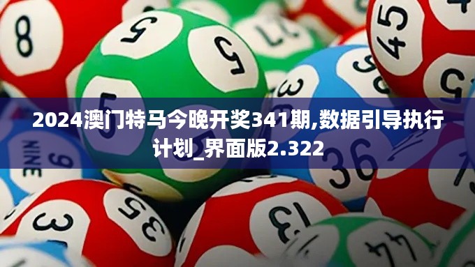 2024澳门特马今晚开奖341期,数据引导执行计划_界面版2.322