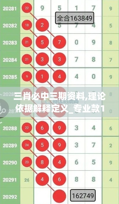 三肖必中三期资料,理论依据解释定义_专业款13.568